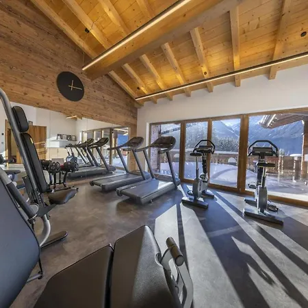 Alpine Wellness Near Wildkogel